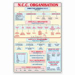 Organization of NCC Chart